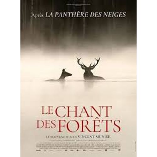 Le Chant Des Forêts De Vincent Munier - Affiche Originale De Film Format 40 X 60 Cm
