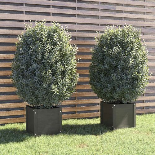 Prolenta Premium - Jardinières D'extérieur 2 Pcs Gris 40x40x40 Cm Bois De Pin