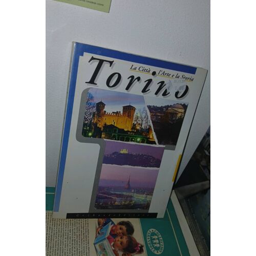 Torino La Città, L'Arte E La Storia Gribaudo Editore