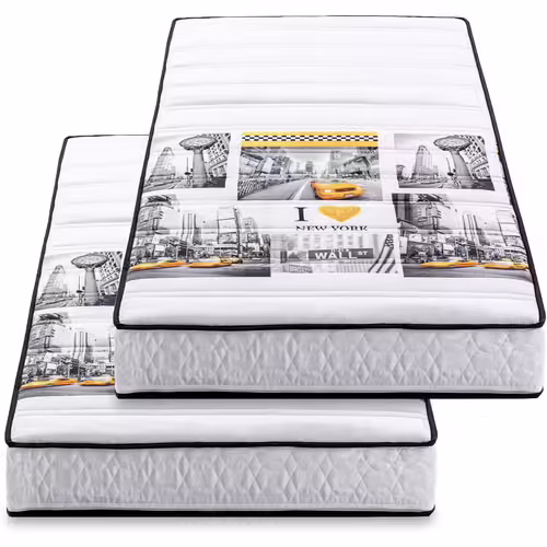 BLUE MOON Lot de 2 Matelas Mousse 90x190 New York 5 Zones de Confort Soutien Ferme Épaisseur 15cm Housse Hypoallergénique Fabriqué en Belgique