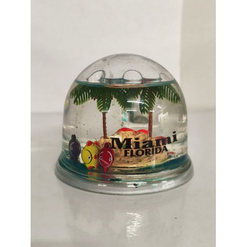 Boule A Neige Miami Floride Avec Support Stylos