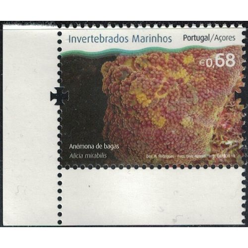 Portugal 2010 Neuf Açores Invertébrés Marins Alicia Mirabilis Anémone À Baies Y&T Pt-Az 554 Rp68