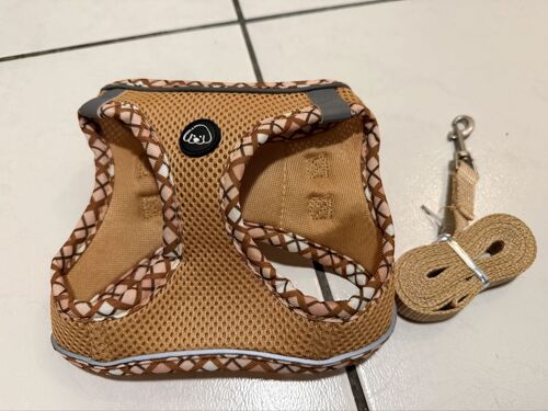 Harnais Et Laisse Chien Taille S