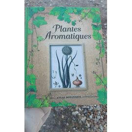 Plantes Aromatiques Atlas Botanique
