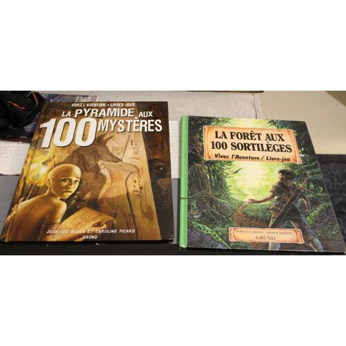 Livre-Jeu "La Forêt Aux 100 Sortilèges" Et "La Pyramide Aux 100 Mystères"