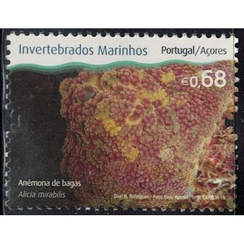 Portugal 2010 Neuf Açores Invertébrés Marins Alicia Mirabilis Anémone À Baies Y&T Pt-Az 554 Rp203