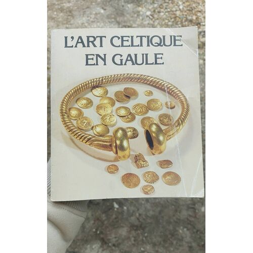 L'Art Celtique En Gaule