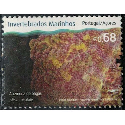 Portugal 2010 Neuf Açores Invertébrés Marins Alicia Mirabilis Anémone À Baies Y&T Pt-Az 554 Rp695