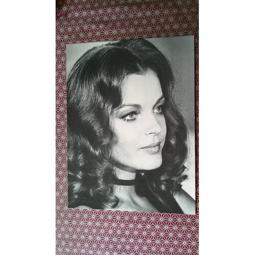 Romy Schneider - Reproduction Photo Cartonnée N°24 - Format 30 X 40 Cm - Editions Ebullitions (Sans Date)