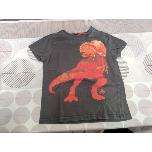 T-Shirt 5 Ans
