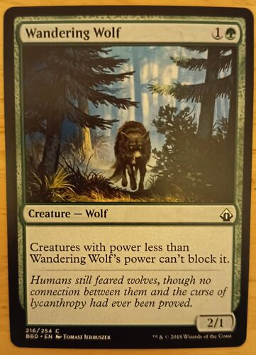 Wandering Wolf // Loup Vagabond (Battlebond)