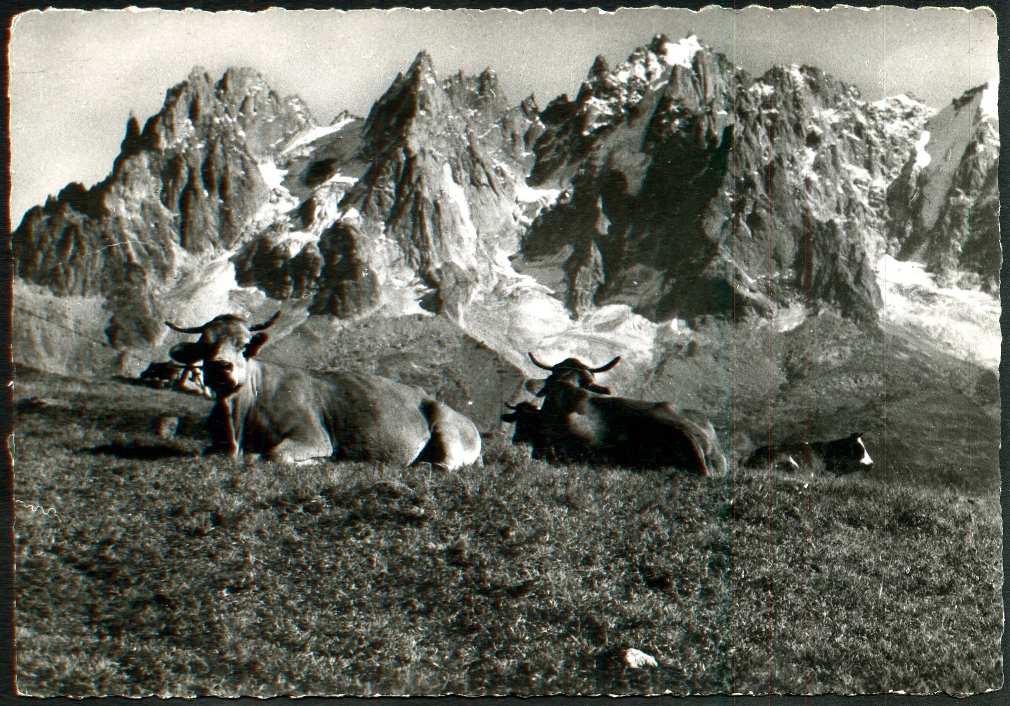 Carte Postale Images De Chez Nous , Montagne , Massif Du Mont Blanc , Les Aiguilles De Chamonix Vues De Planpra 2062 M. , 1952