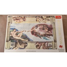 Puzzle La création d'adaptation 1000 pièces