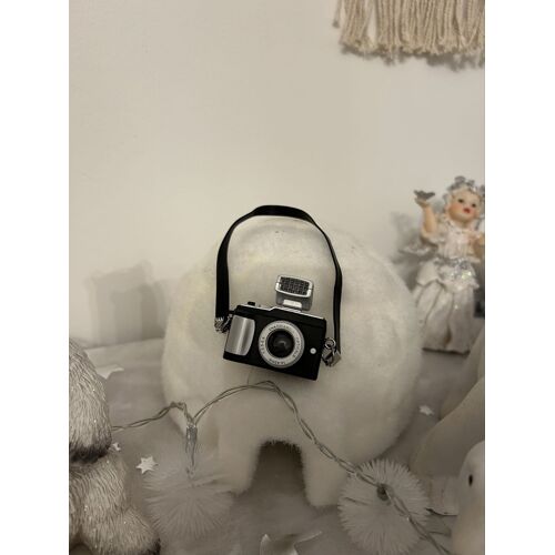 Appareil photo, miniature