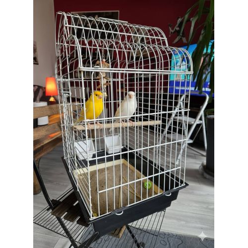 Cage Oiseaux Canaris Mandarins...Ect