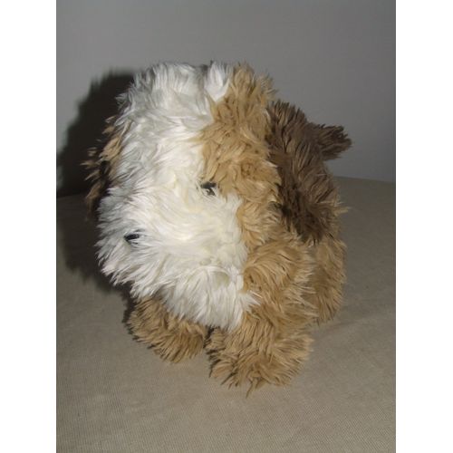 CHIEN CP MARRON BLANC BEIGE