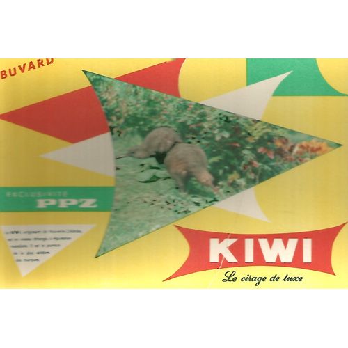 Buvard - Kiwi - Le Cirage De Luxe -