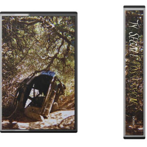 Ty Segall - Possession [Cassettes]