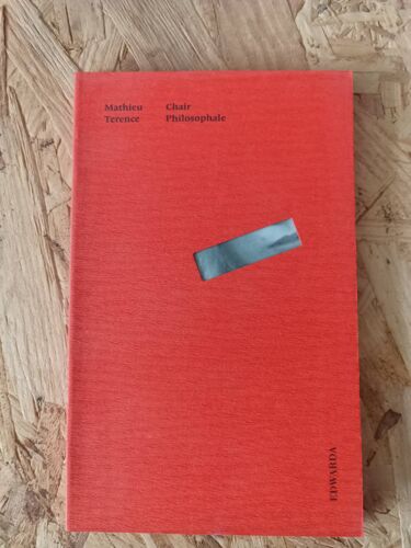 Chair Philosophale, Un Livre De Mathieu Terence