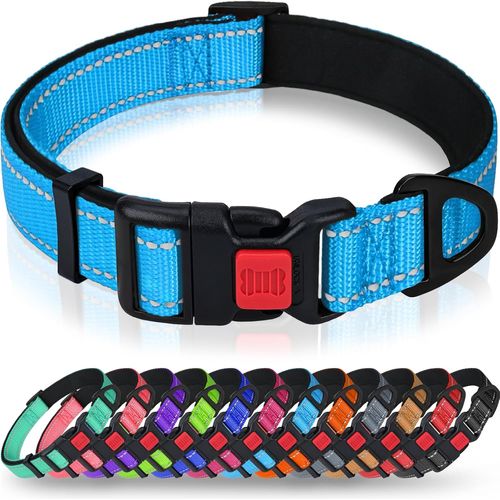 Jgd-Taglory Collier Pour Chien, Collier En Nylon Réfléchissant Réglable Classique Avec Rembourré Doux Respirant Mesh Pour Petits Chiens, S,Bleu Ciel