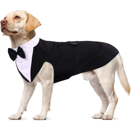 Jgd-Smoking Formel Pour Chien, Set Costume E Bandana Pour Mariage Shirt Avec N?ud Papillon Vêtements Pour Chiens Élégant Apparel Tuxedo Pour Mariage Party Festival Halloween Noël(Noir, Xl)