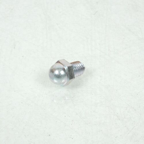 Pion D'usure Cale-Pied Pour Moto Honda 900 Cbr Rr 1994 92501-080100a Neuf