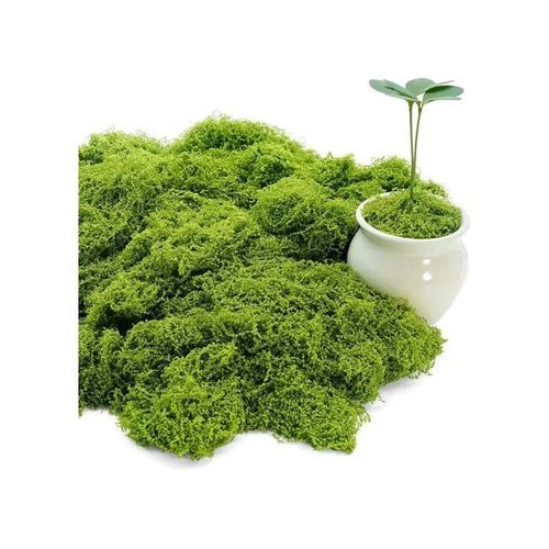 Mousse Artificielle Décorative 150g Verte Réaliste Pour Artisanat Modélisme Et Fleuristerie, Nylon Durable Pour Terrarium