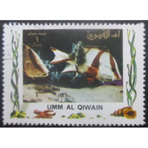 Umm Al Qiwain Poisson Oblitéré Grand Format