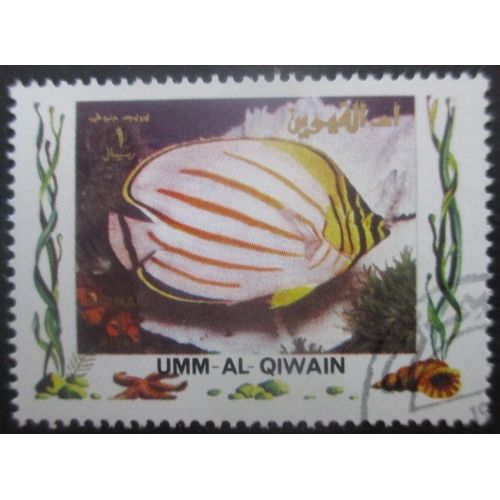Umm Al Qiwain Poisson Oblitéré Grand Format Oblitéré