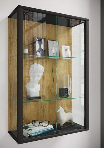 VCM Vitrine murale suspendue vitrine en verre vitrine murale vitrine en verre Udina Vitrine murale suspendue vitrine en verre vitrine murale vitrine en verre Udina