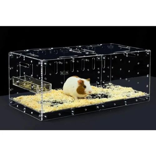 Cage Hamster Acrylique Transparente Style Aquarium Modèle-P, Habitat Diy Extensible Et Sécurisé Avec Vue 360