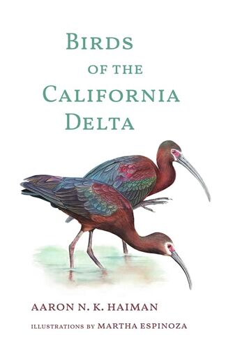 Birds Of The California Delta