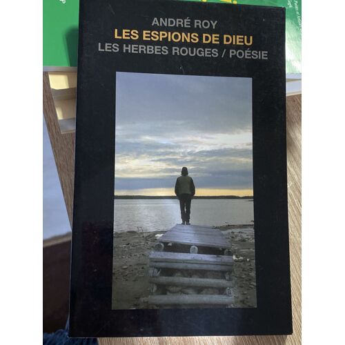 Les Espions De Dieu André Roy