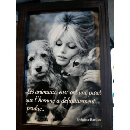 Cadre Brigitte bardot