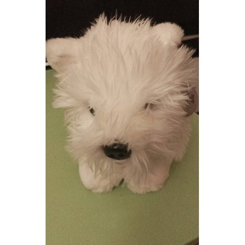 Peluche petit chien blanc