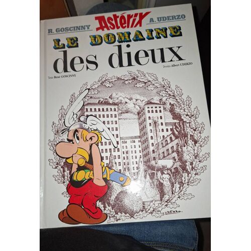 Asterix Et Le Domaine Des Dieux 2013 Uderzo Et Goscinny