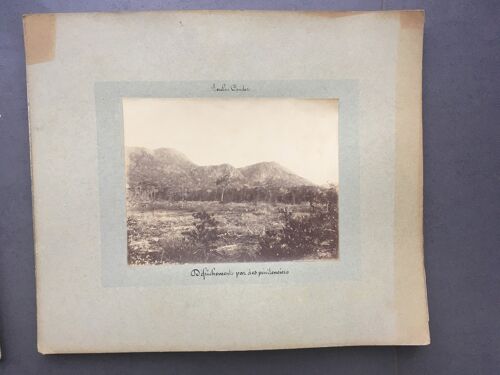 Photo Cochinchine Env.1886 : Bagne De Poulo-Condor Defrichement Des Penitenciers