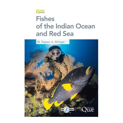 Fishes Of The Indian Ocean And Red Sea