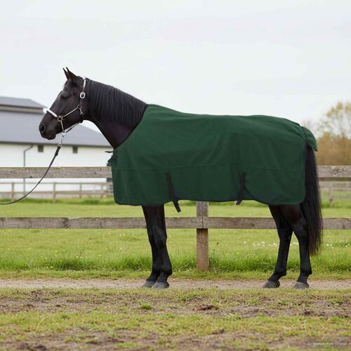 Vidaxl Couverture Équine Vert Foncé Complet Polyester