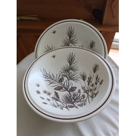 6 Assiettes Creuses W.H. Grindley "Pinewood"