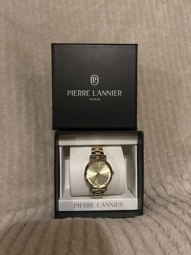 Montre En Acier Doré 