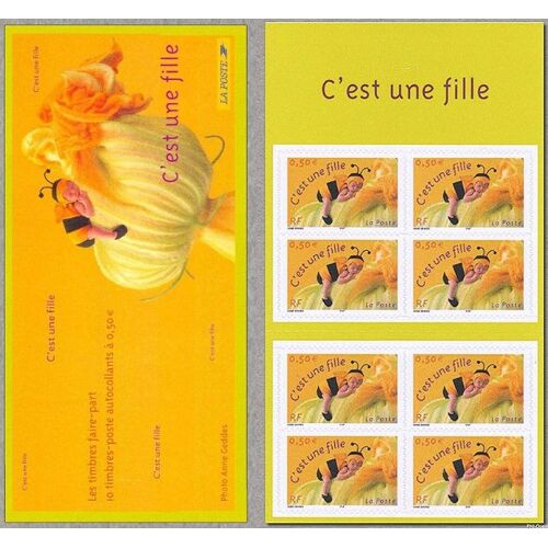 France 2004, Très Belle Bande Carnet Yvert 40, 10 Timbres Neufs** Luxe Auto-Adhésifs 3634, Pour Annoncer Une Naissance, "C'est Une Fille"., Dessin D'anne Geddes.