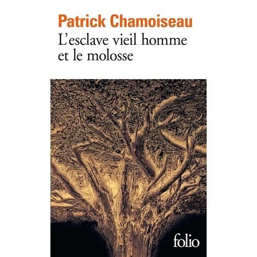 L'esclave Vieil Homme Et Le Molosse