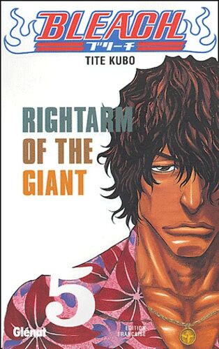Bleach - Tome 5 : Rightarm Of The Giant