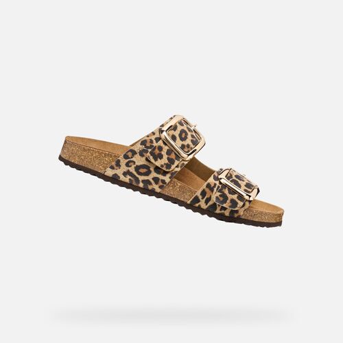 Chaussures Brionia R Woman