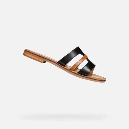 Chaussures D Maddalusiac