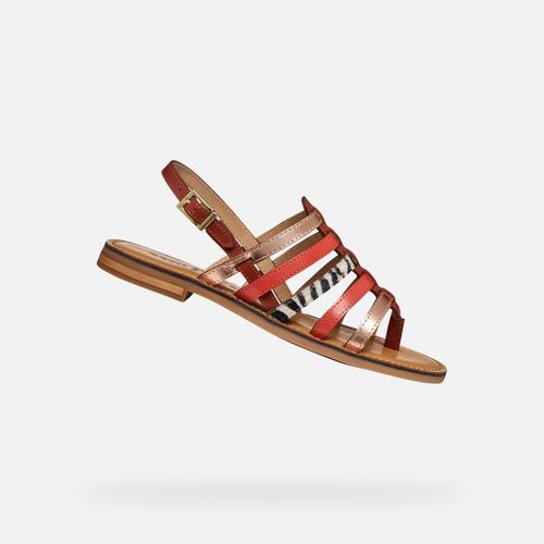 Chaussures D Maddalusiac