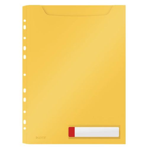 Leitz 46680019 Protecteur De Feuilles 210 X 297 Mm (A4) Polypropylène (Pp)