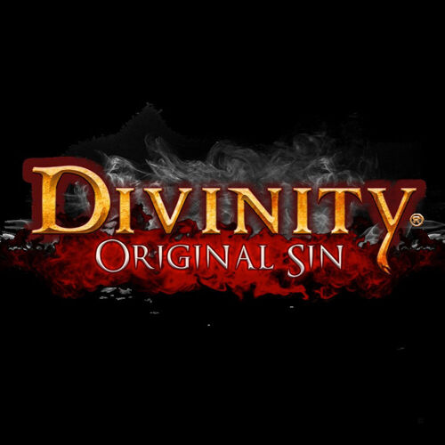 Divinity : Original Sin Standard Anglais PC