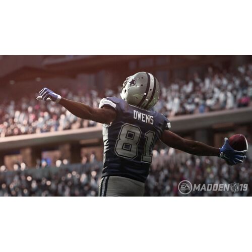 Madden NFL 19 PC